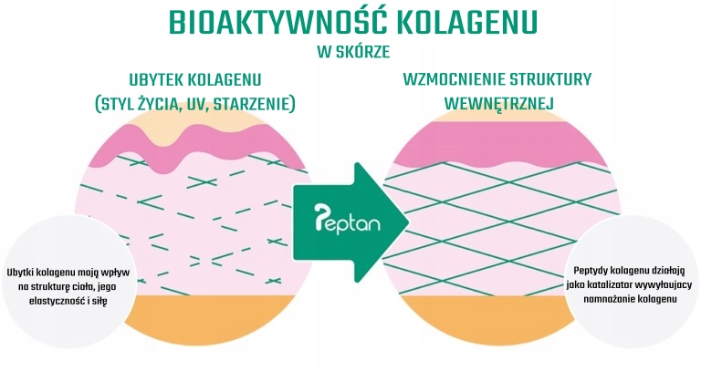 Energybody naturalny, płynny KOLAGEN RYBI Peptan F Kod producenta 535002