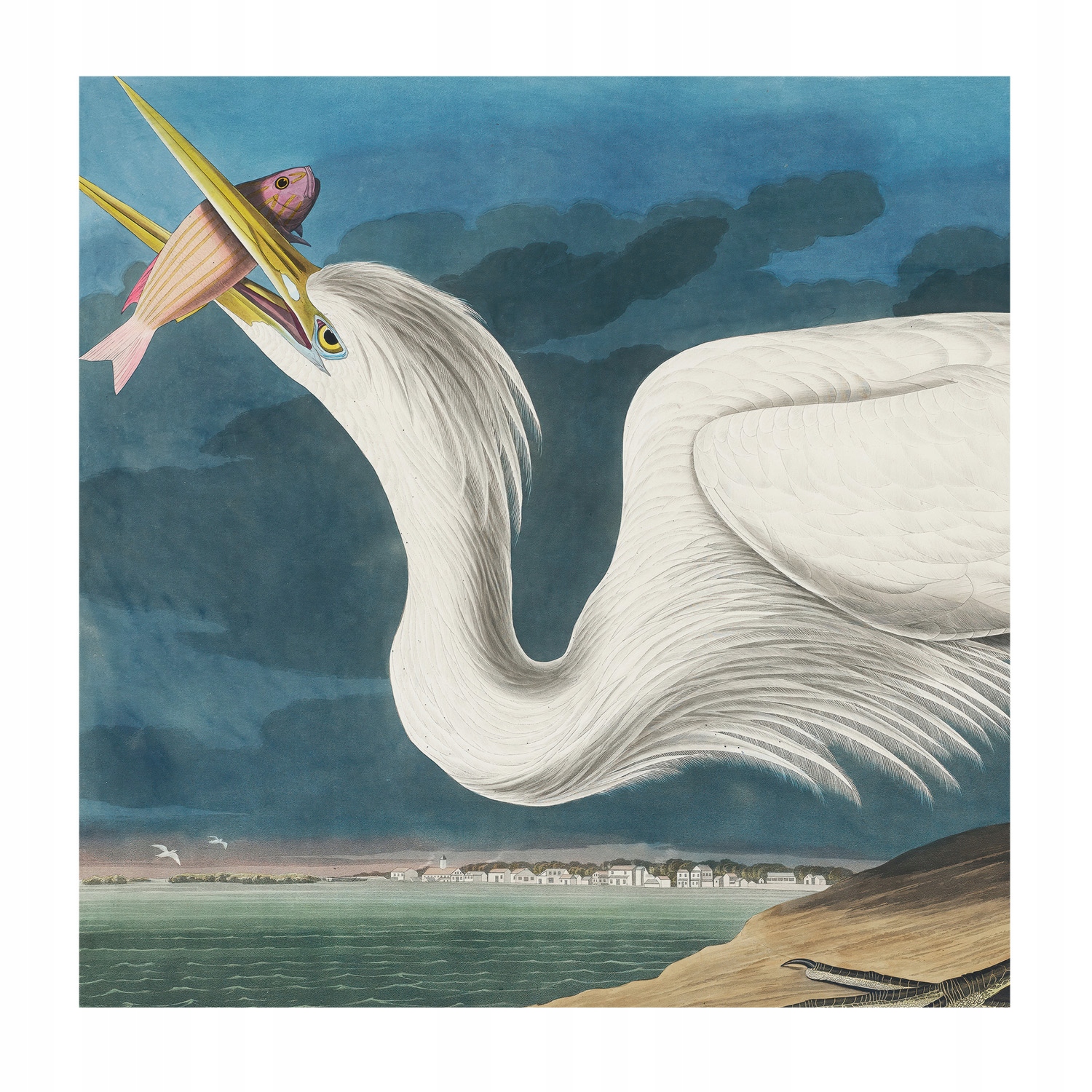 Vliesová fototapeta na vliese Dizajnový vták s rybou 250x250 lepidlo