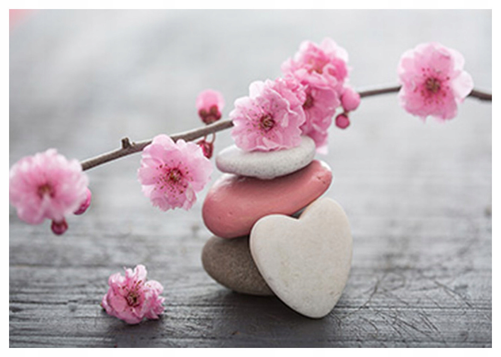 Fototapeta Kameny Zen a Kvetoucí Višeň Relax vinylová 368x254 lepidlo