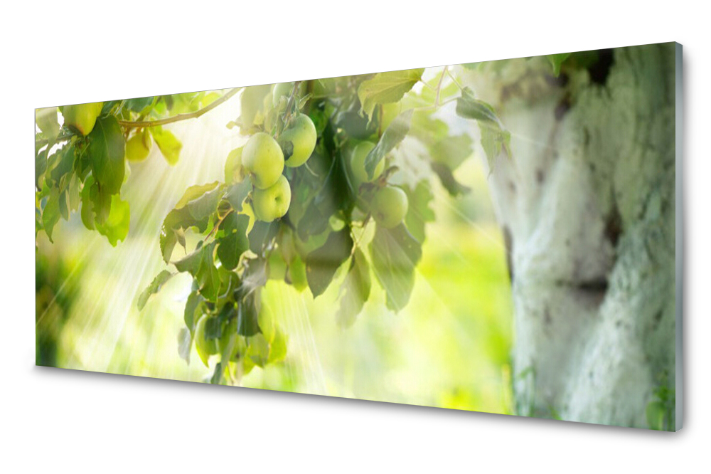 

Panel szklany do kuchni Jabłka Gałąź 125x50