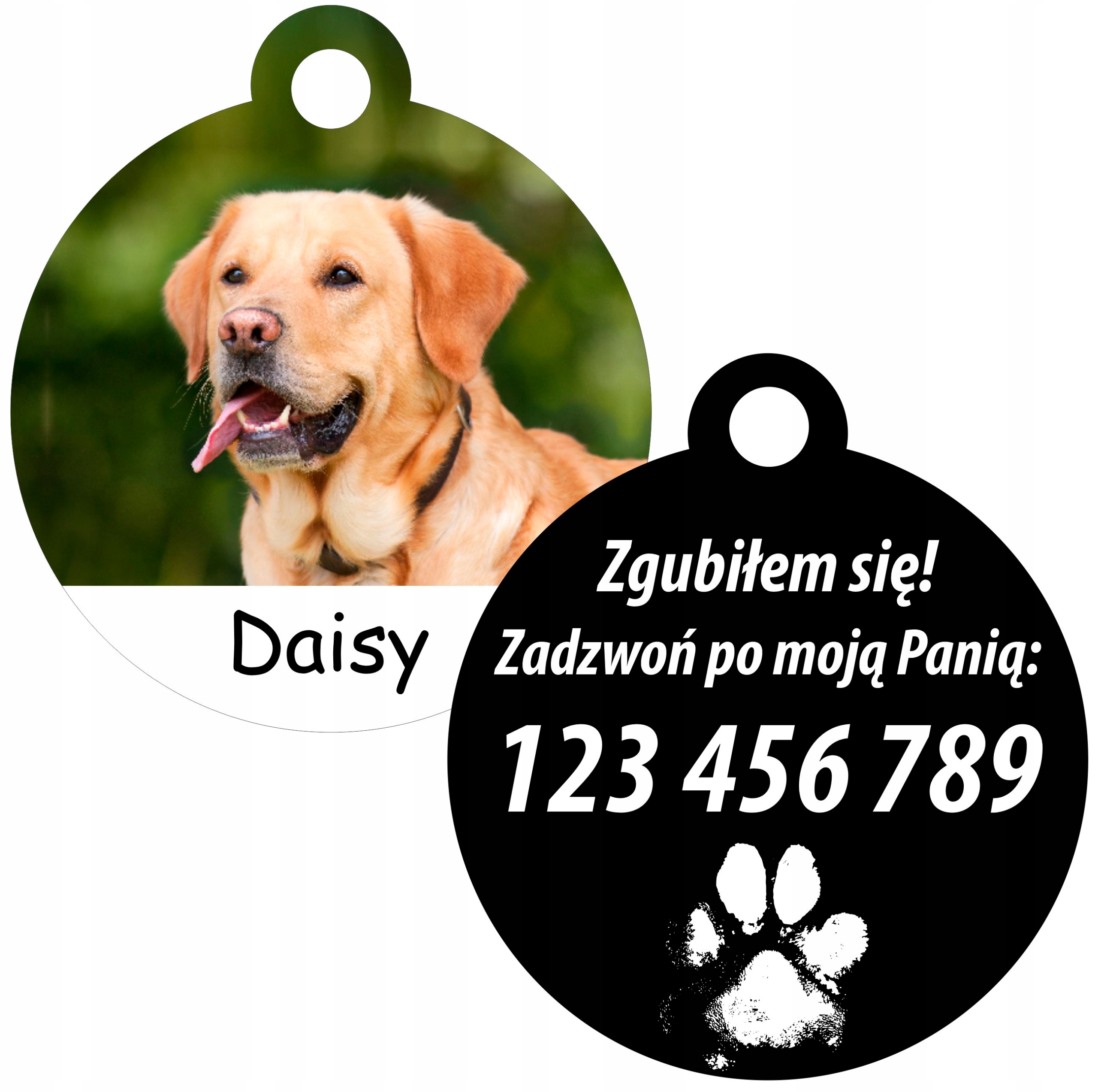 

Imiennik Zawieszka Psa zdjęciem numerem telefonu