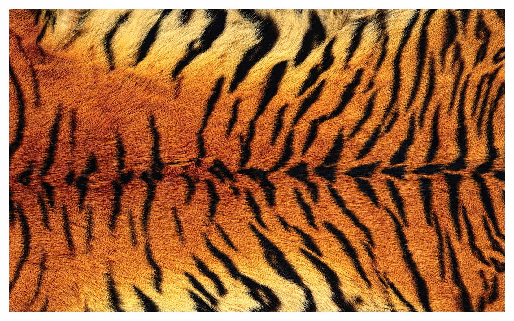 Vliesová fototapeta Tiger koža kožušina a exotika 416x254 lepidlo