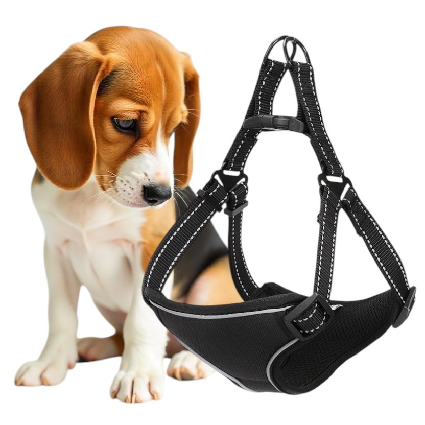 Beztlakové Postroje Pro Psa, Pohodlné A Bezpečné, Reflexní