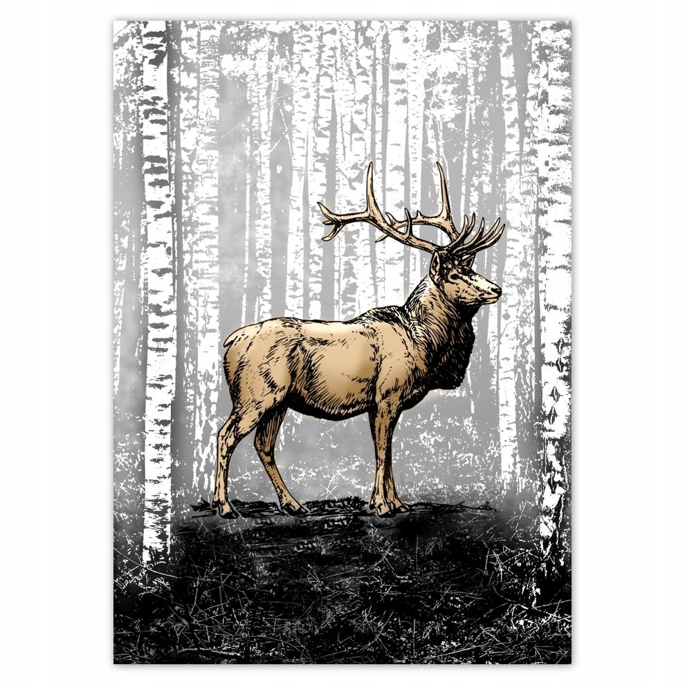 

Naklejki 50x70 Jeleń Brzoza Brzozy Las