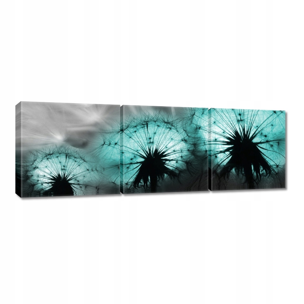 

Obrazy 120x40 Turkusowe dmuchawce