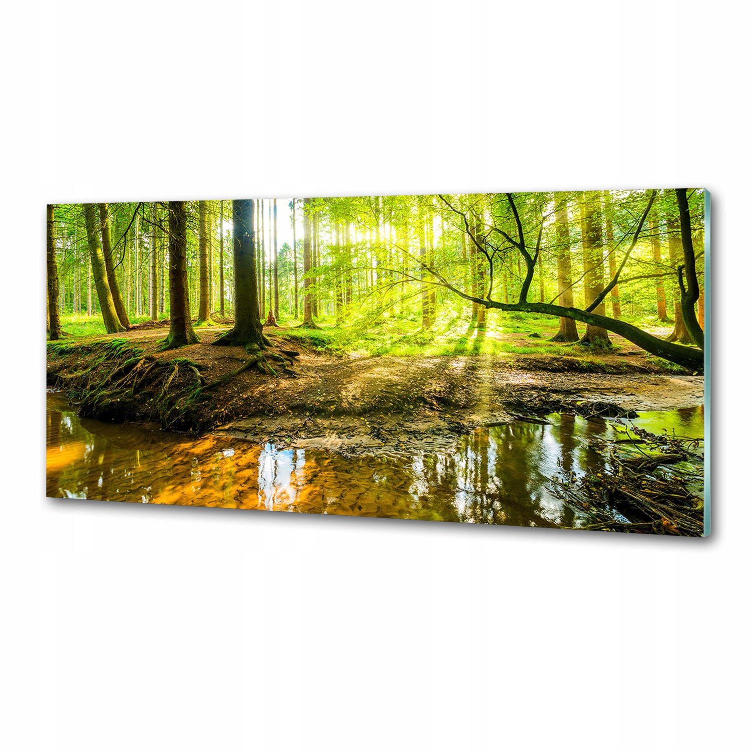 Panel do kuchyne Sadzačka v lese 125 x 50 cm Lepidlo