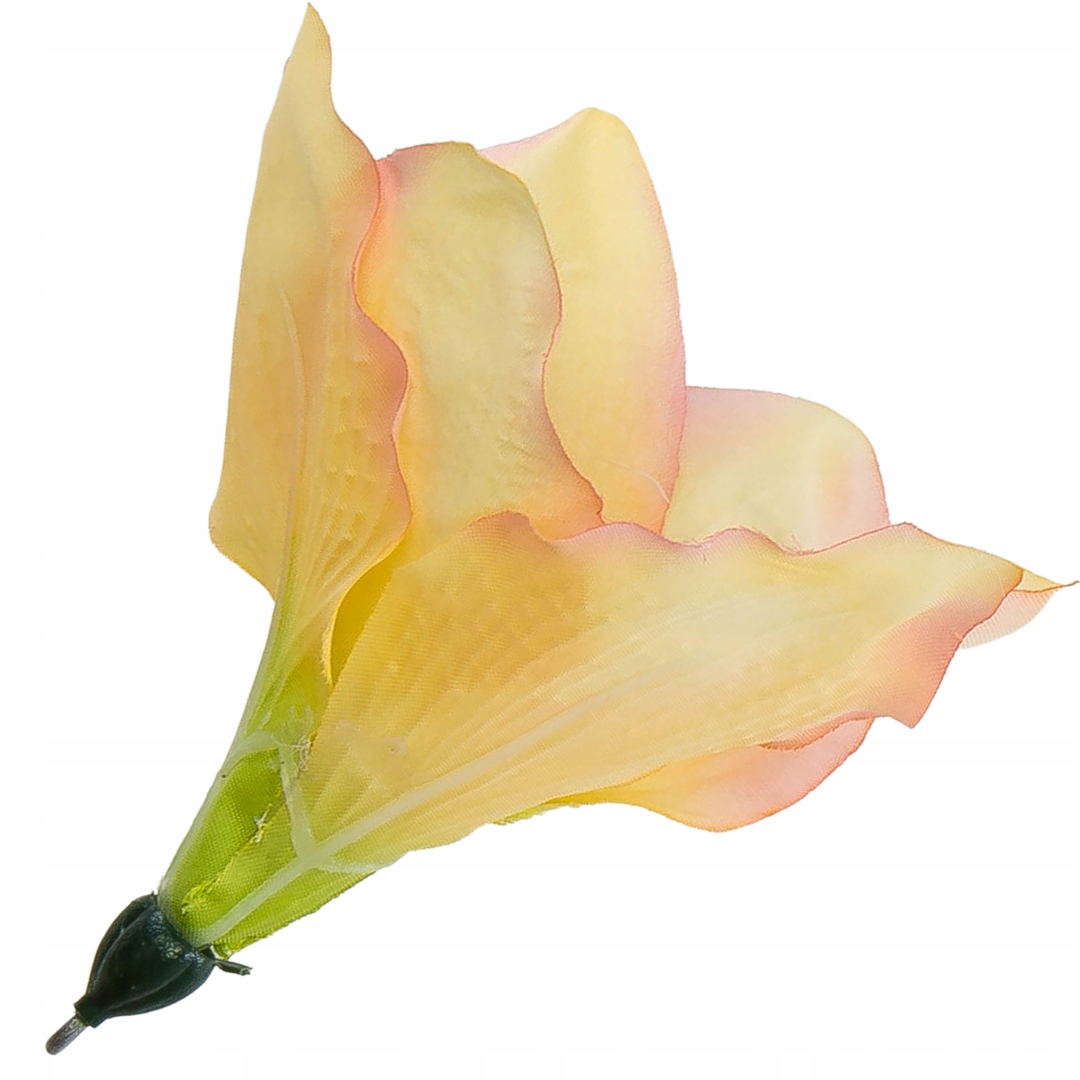 

Główka kwiat amarylis 12-13cm brzoskwiniowo-różowy