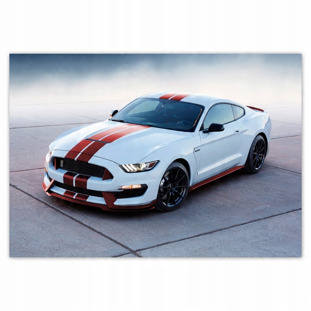 

Fototapety flizelina 416x290 Ford Mustang