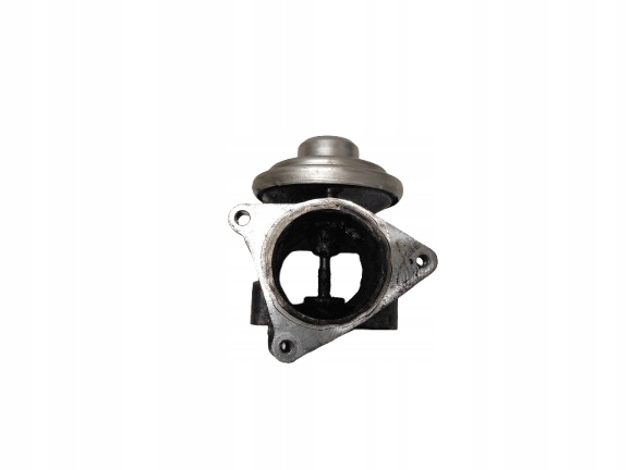 SKODA OCTAVIA 2 II 04- 2.0 TDI ZAWÓR EGR 038131501AF