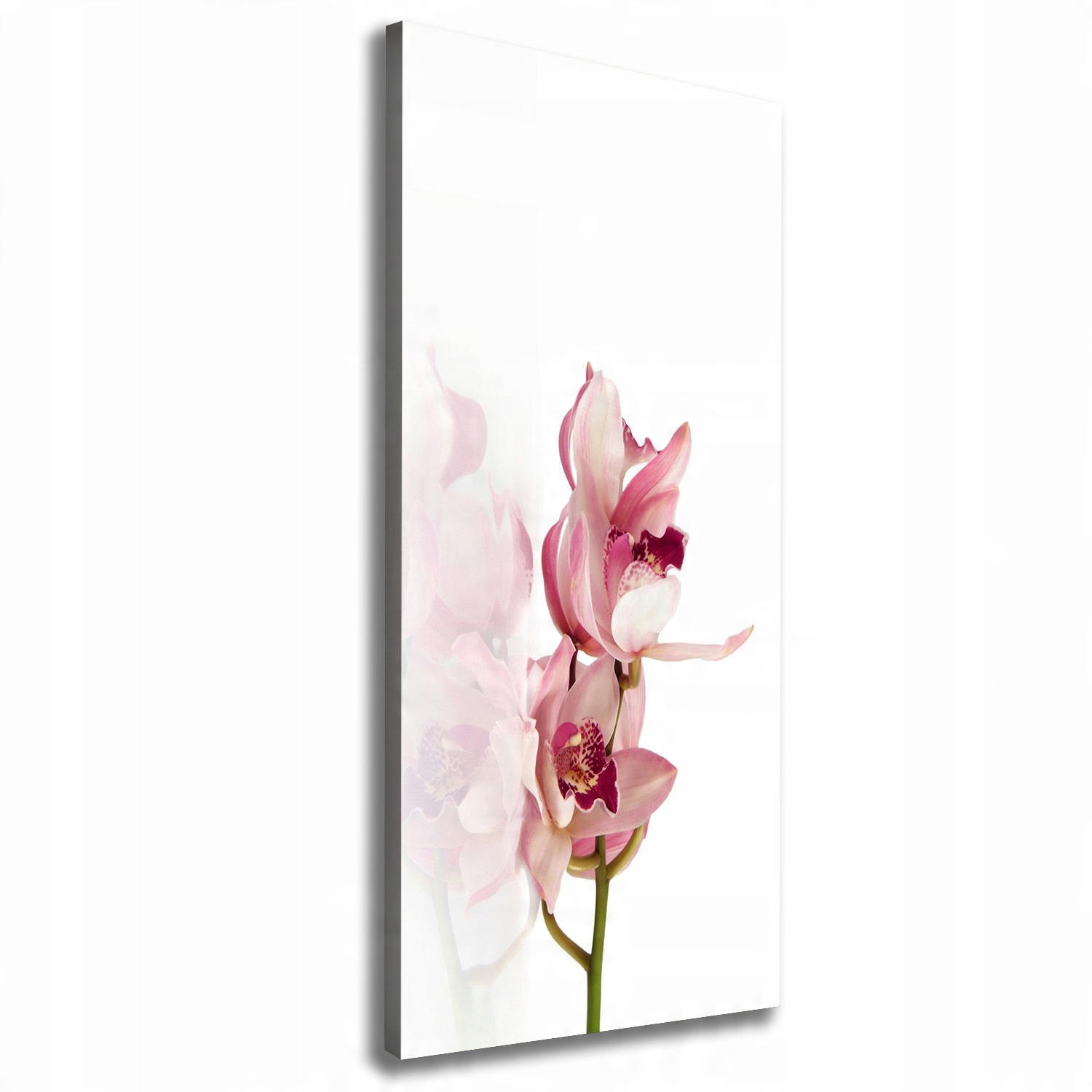 

Foto obraz na płótnie Różowa orchidea 50x125 cm