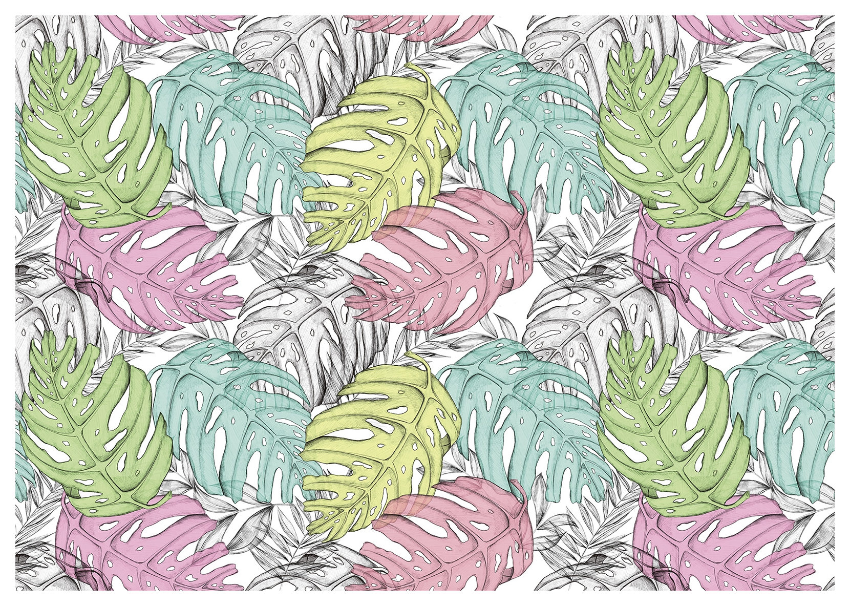 Fototapeta Monstera pastelové vinylové listy 460x300 lepidlo