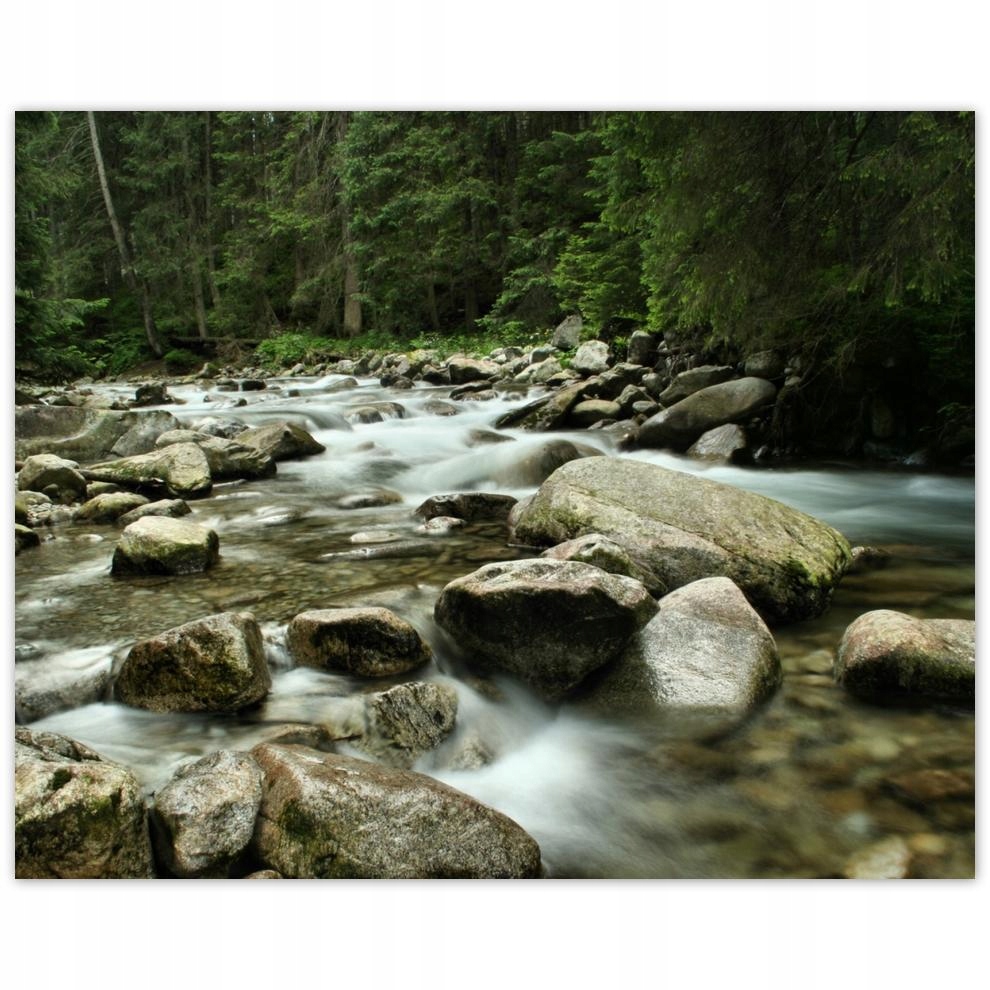 

Plakat 50x40 Tatry Polskie góry Widok