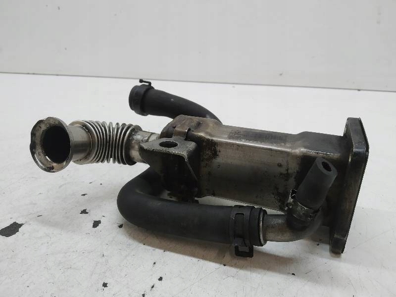 exhaust gas cooler Renault Scenic II 1.9 D