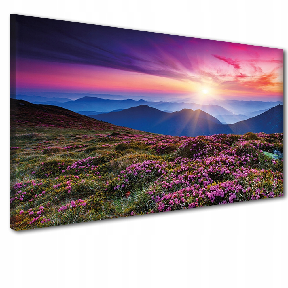 

Obraz obrazy na ścianę ścienne 60x120