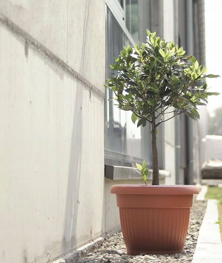 Doniczka TERRA NOVA 48L TERAKOTA Prosperplast Marka Prosperplast