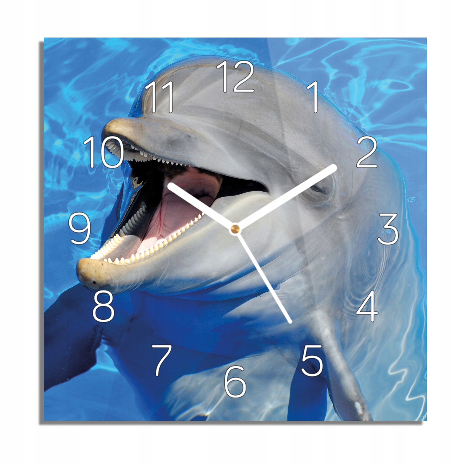 

Delfin butlonosy foto-zegar kwadratowy 30x30 cichy