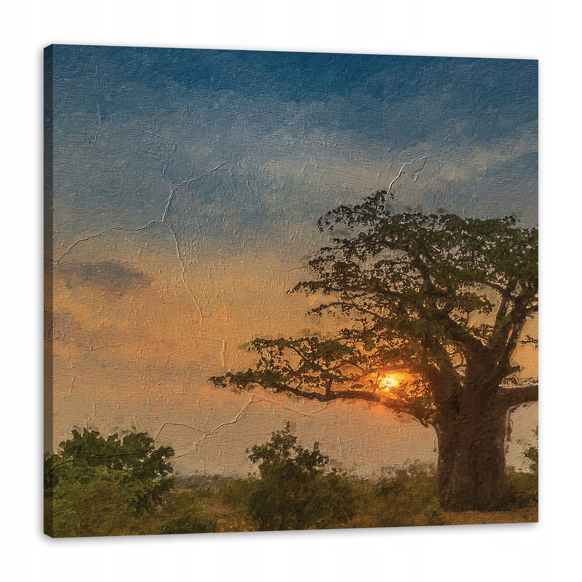 Obraz na plátně Zapadající slunce na Savaně 80 x 80 cm Ideální jako dárek