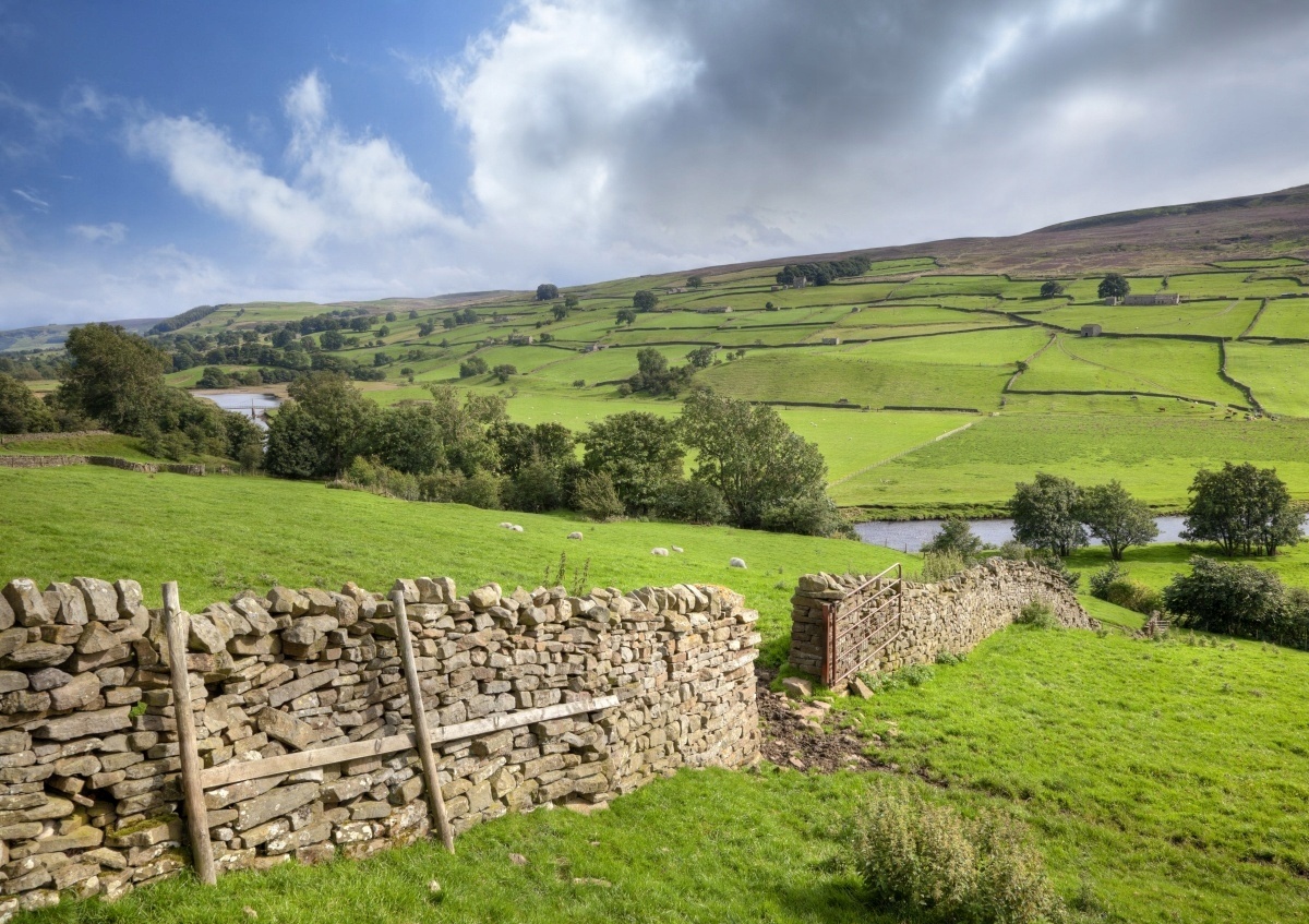 

Fototapeta Flizelinowa Yorkshire dolina 208x146