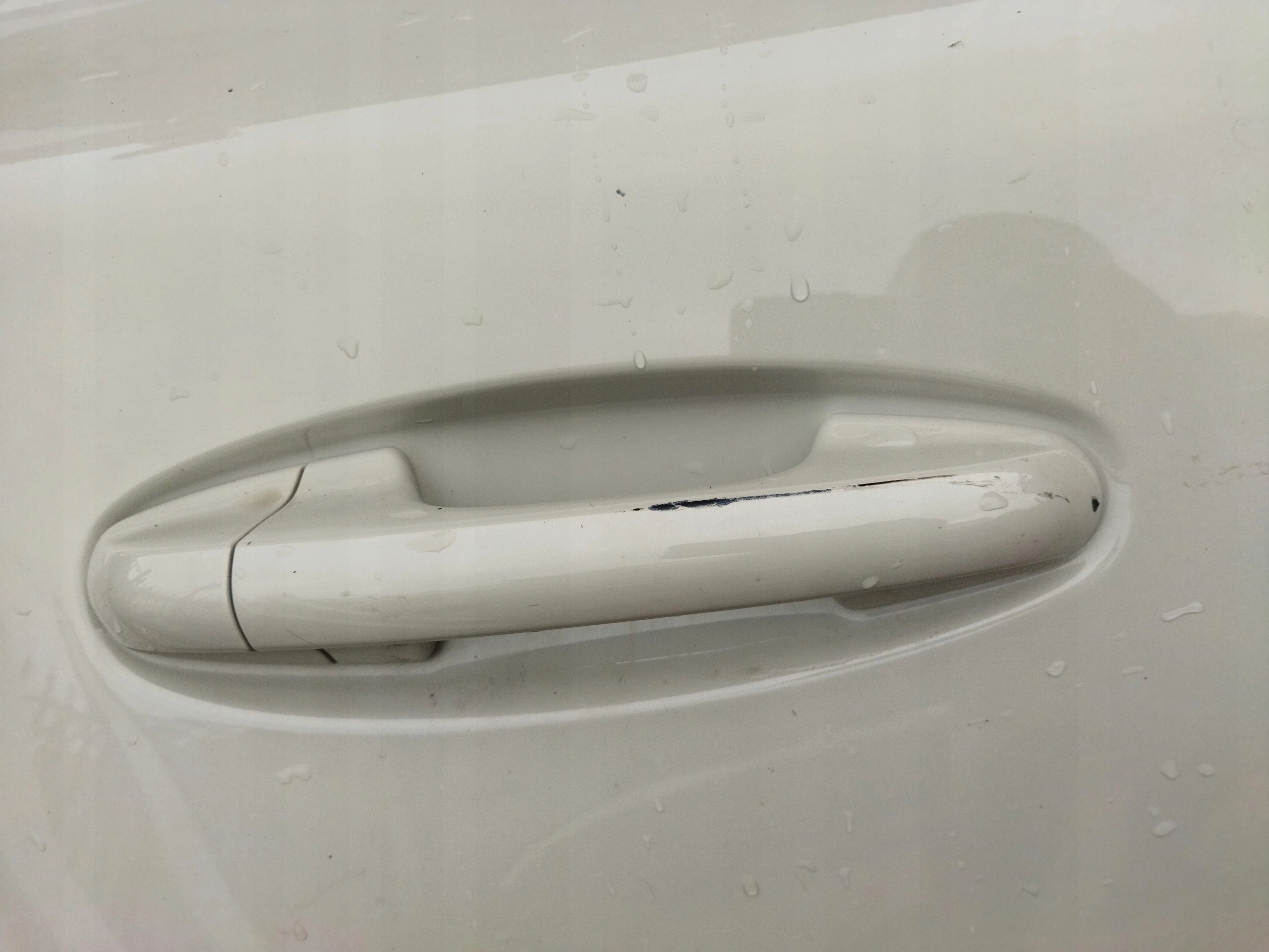 Tür FORD PUMA hinten rechts ST BIALE