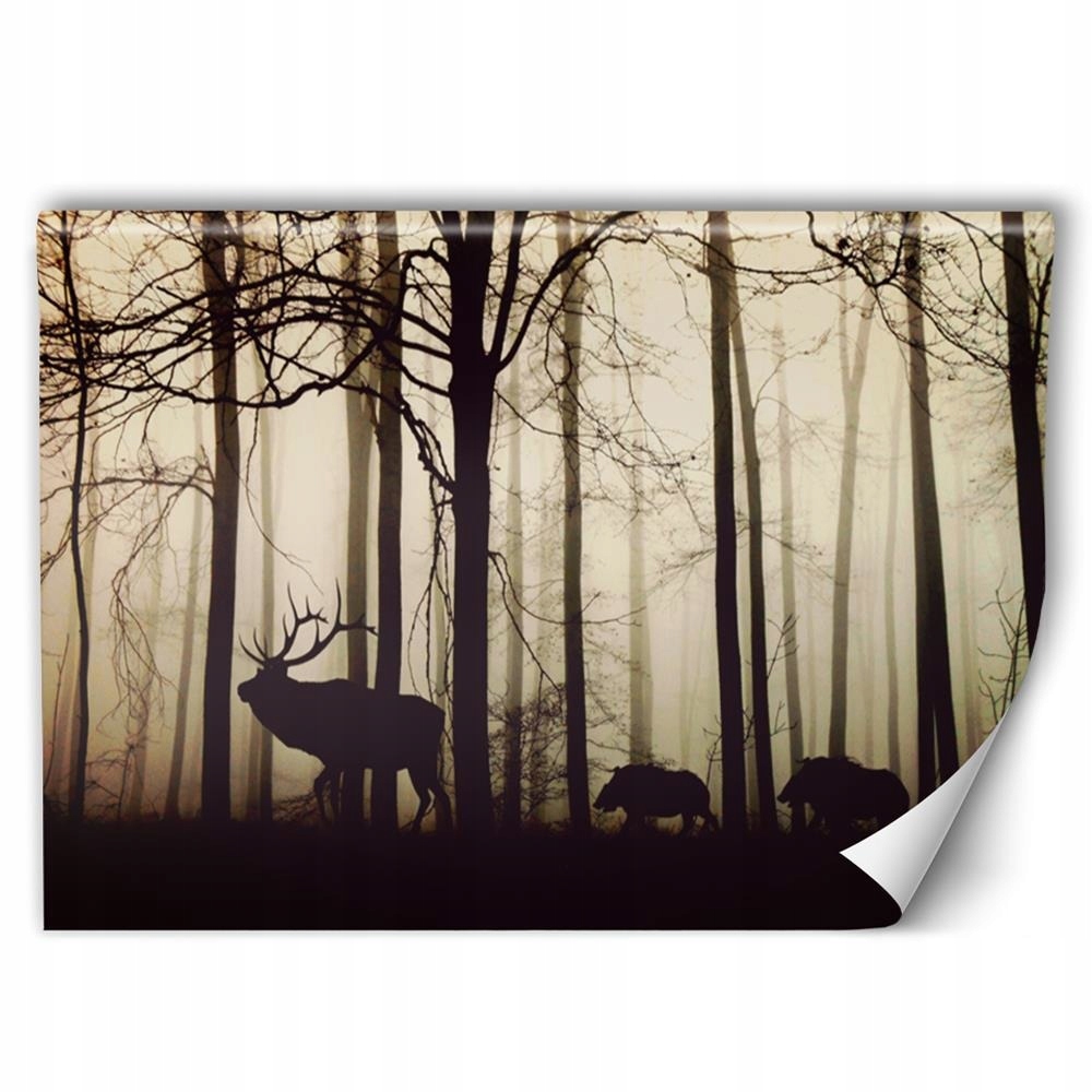 

Fototapeta Zwierzęta Salon Klej Gratis 250x166