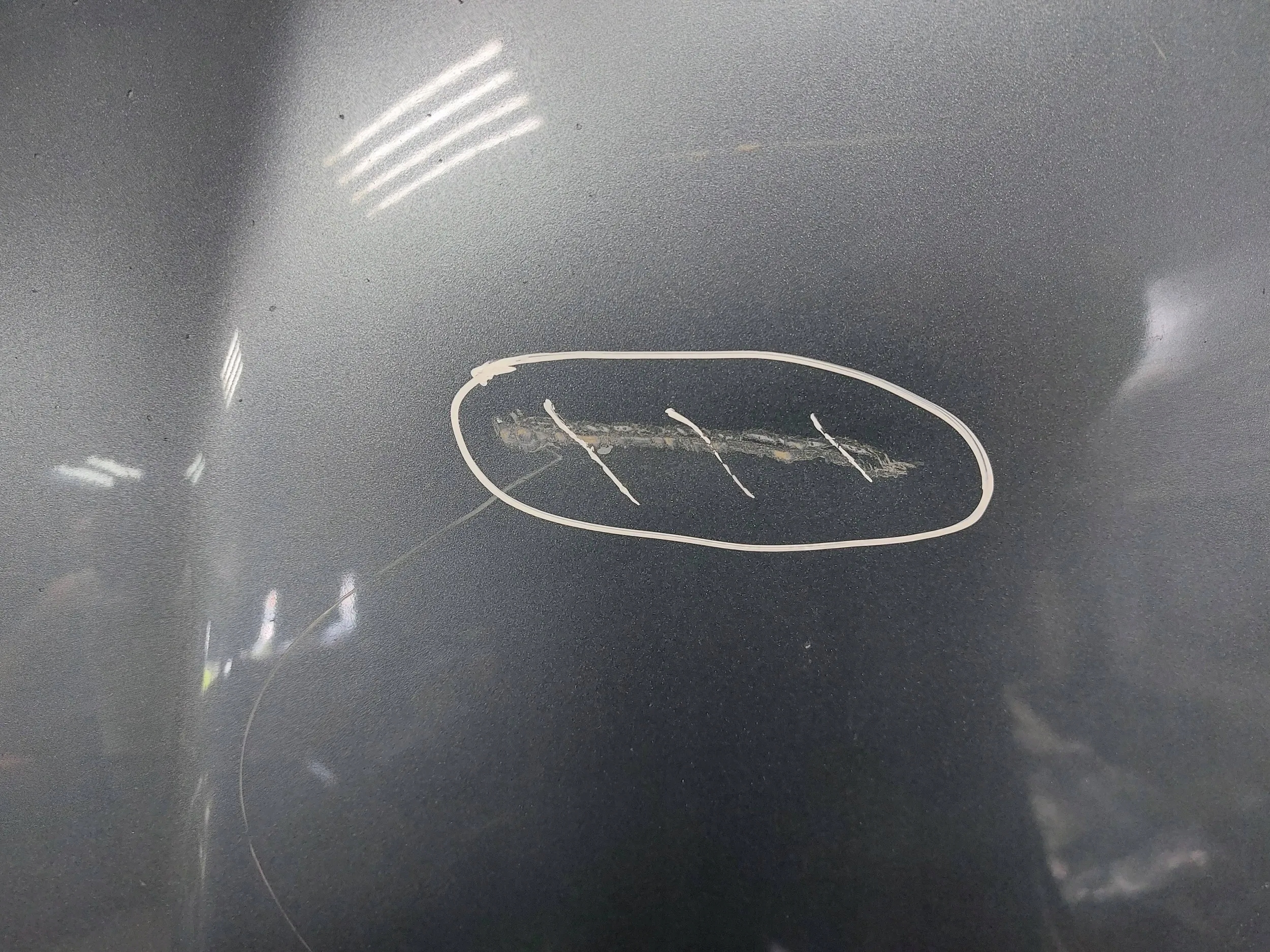 bonnet front Alfa Romeo GT 04