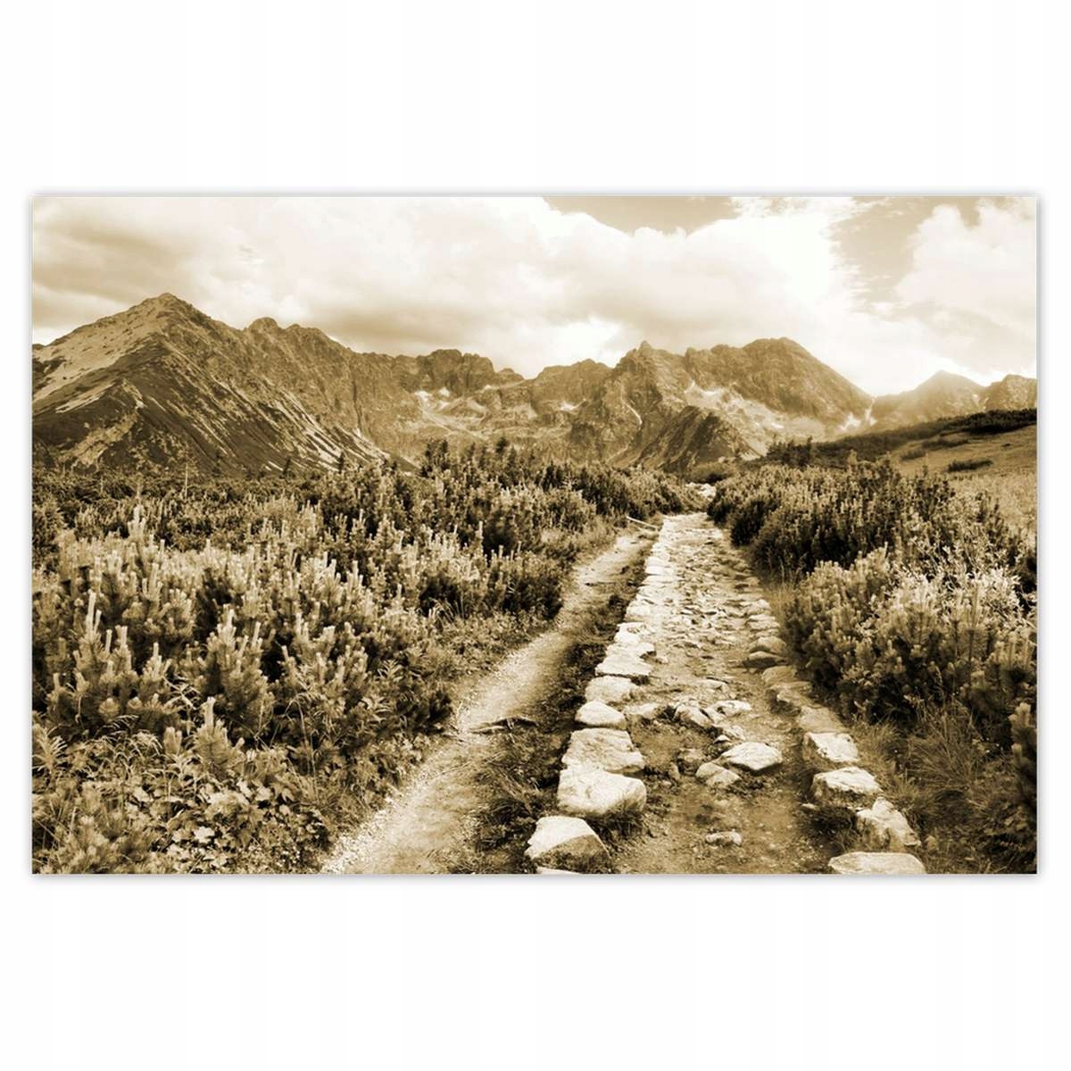 Plakáty 200x135 Tatry Polské hory Pohled