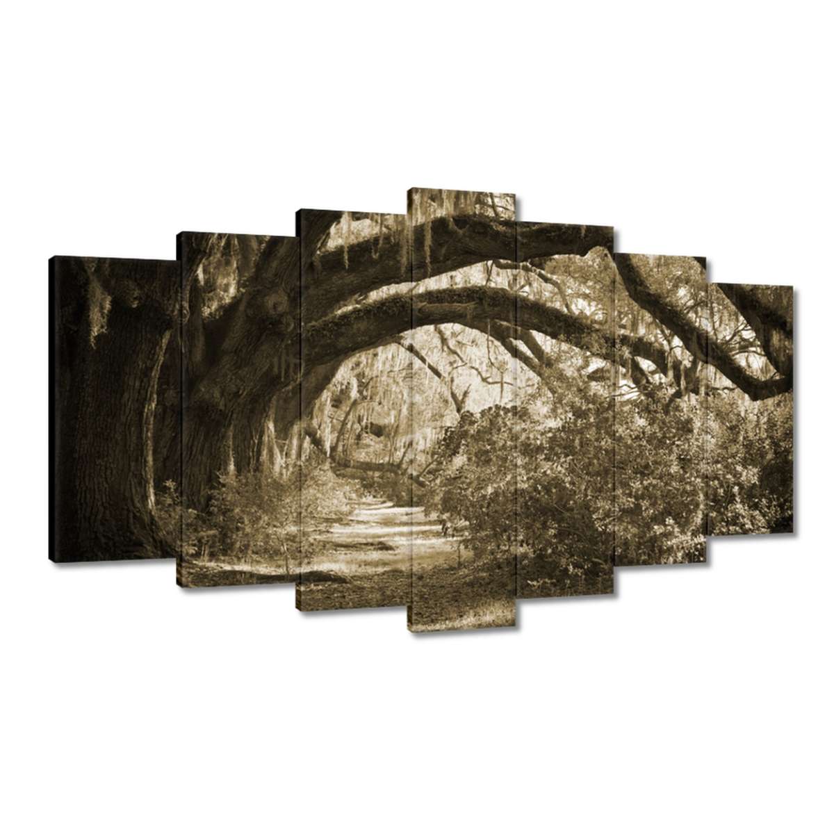 Obrazy 140x80 Duby v parku Sepia