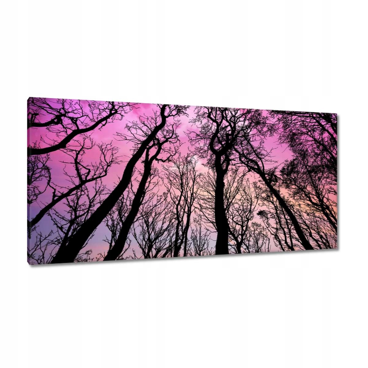 Obrazy 115x55 Krajina Pohled