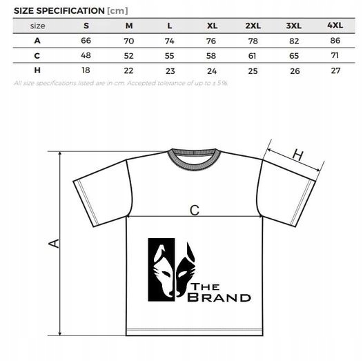 MĘSKA KOSZULKA MOTYW PORSCHE F1 THE BRAND Rozmiar S
