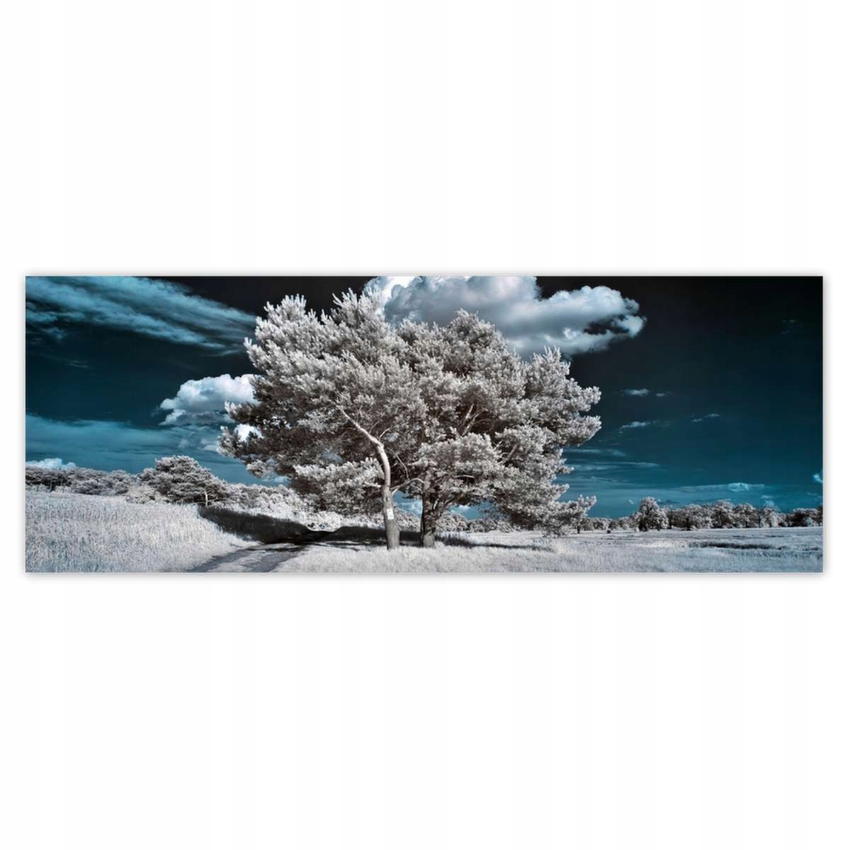 Fototapety 250x93 Majestátní strom