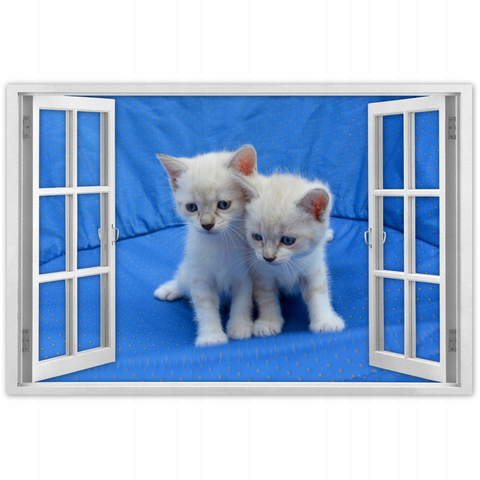 

Plakaty 90x60 Wesołe Kociaki Kocięta