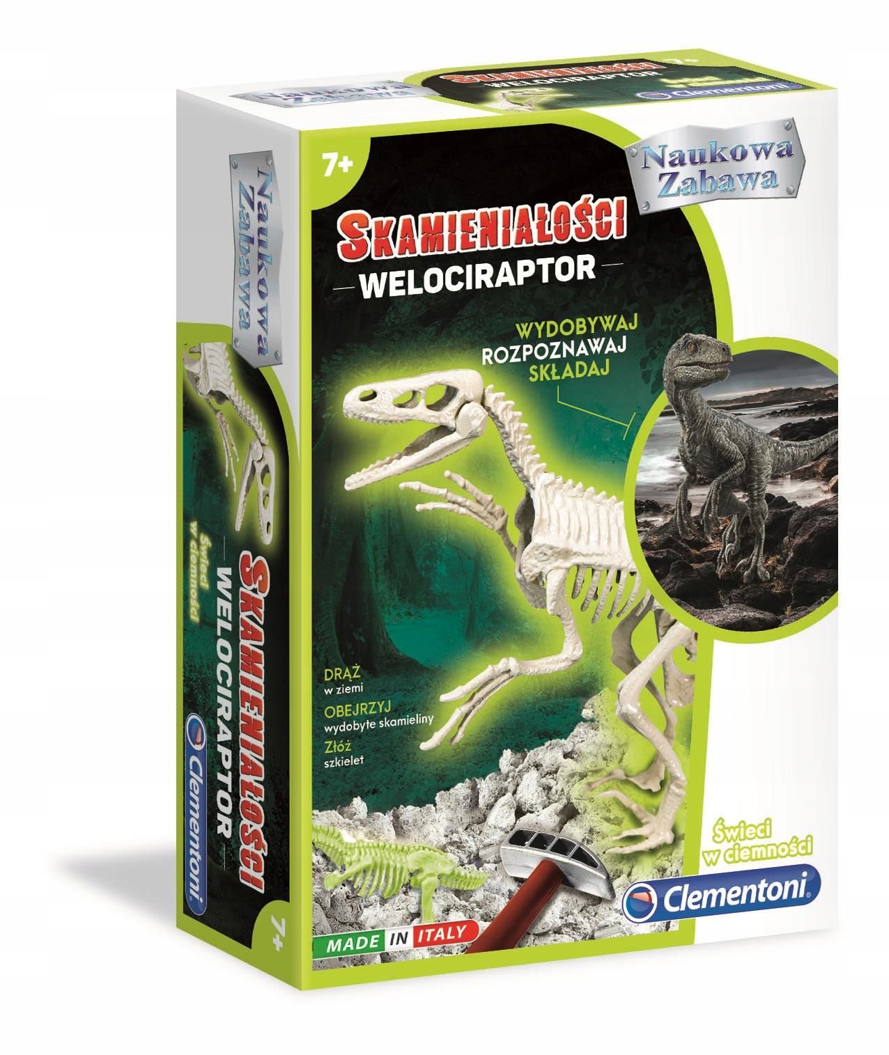 

Skamieniałości Welociraptor Szkielet Świeci 50639