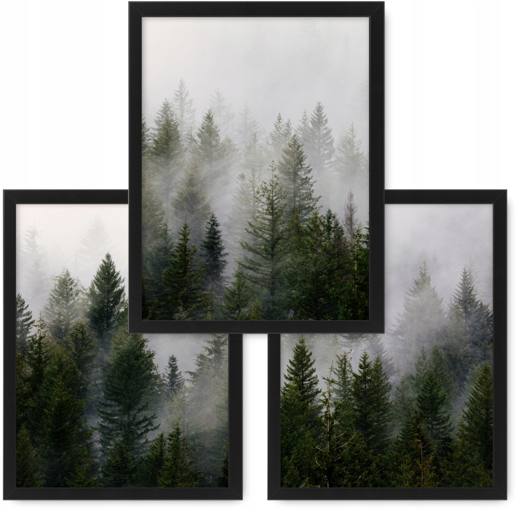 LAS WE MGLE 3 obrazy 33x43 plakaty, ramy ikea #80