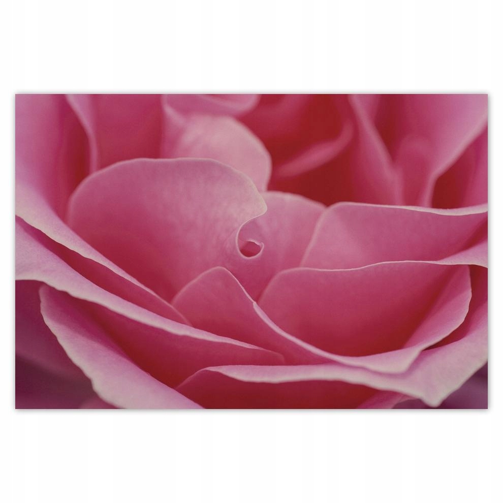 

Plakat 93x62 Dzień Kobiet Prezent Love