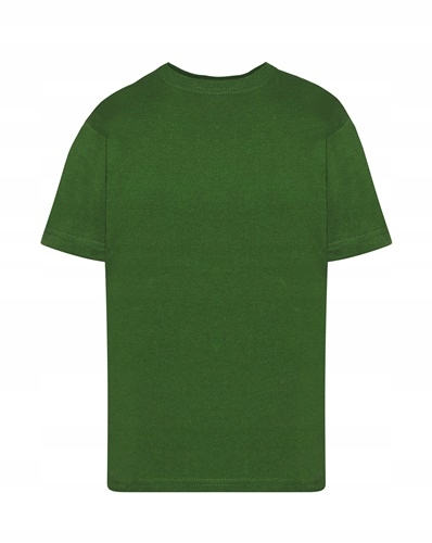 

Koszulka t-shirt dziecięcy 5-6 116 122