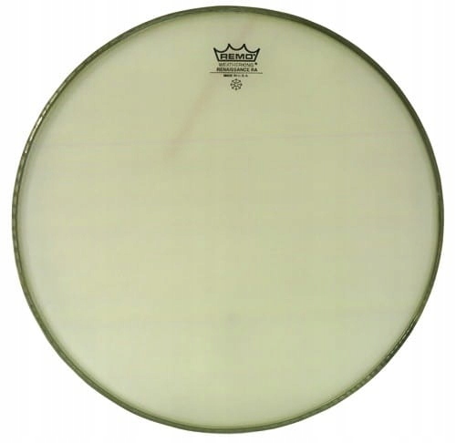 Remo Ambassador Renaissance 13"