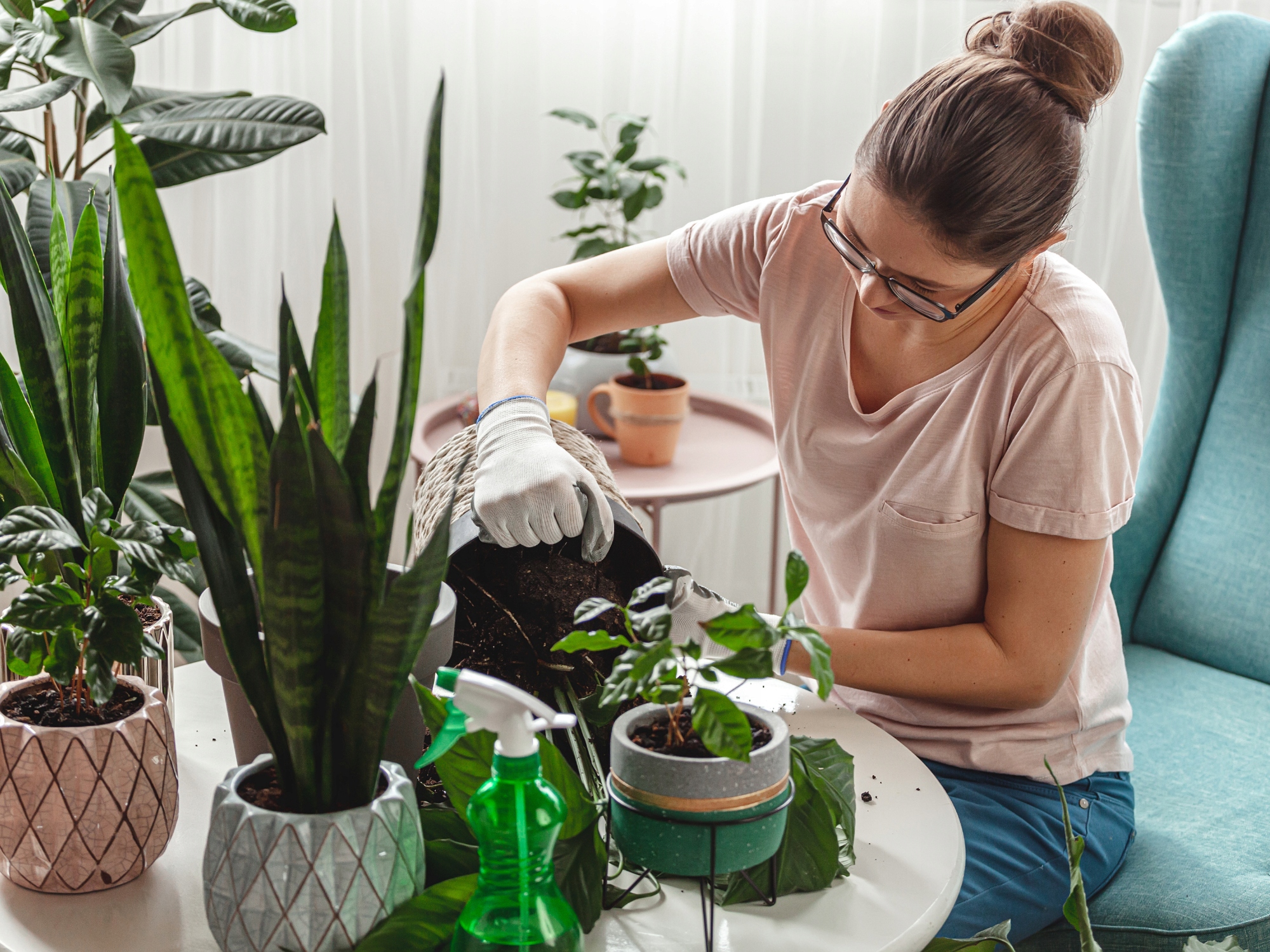 ZIEMIA DO ROŚLIN ZIELONYCH MONSTERY FIKUSA PALM 20L +KERAMZYT 5L +PERLIT 1L Rodzaj ziemia uprawna