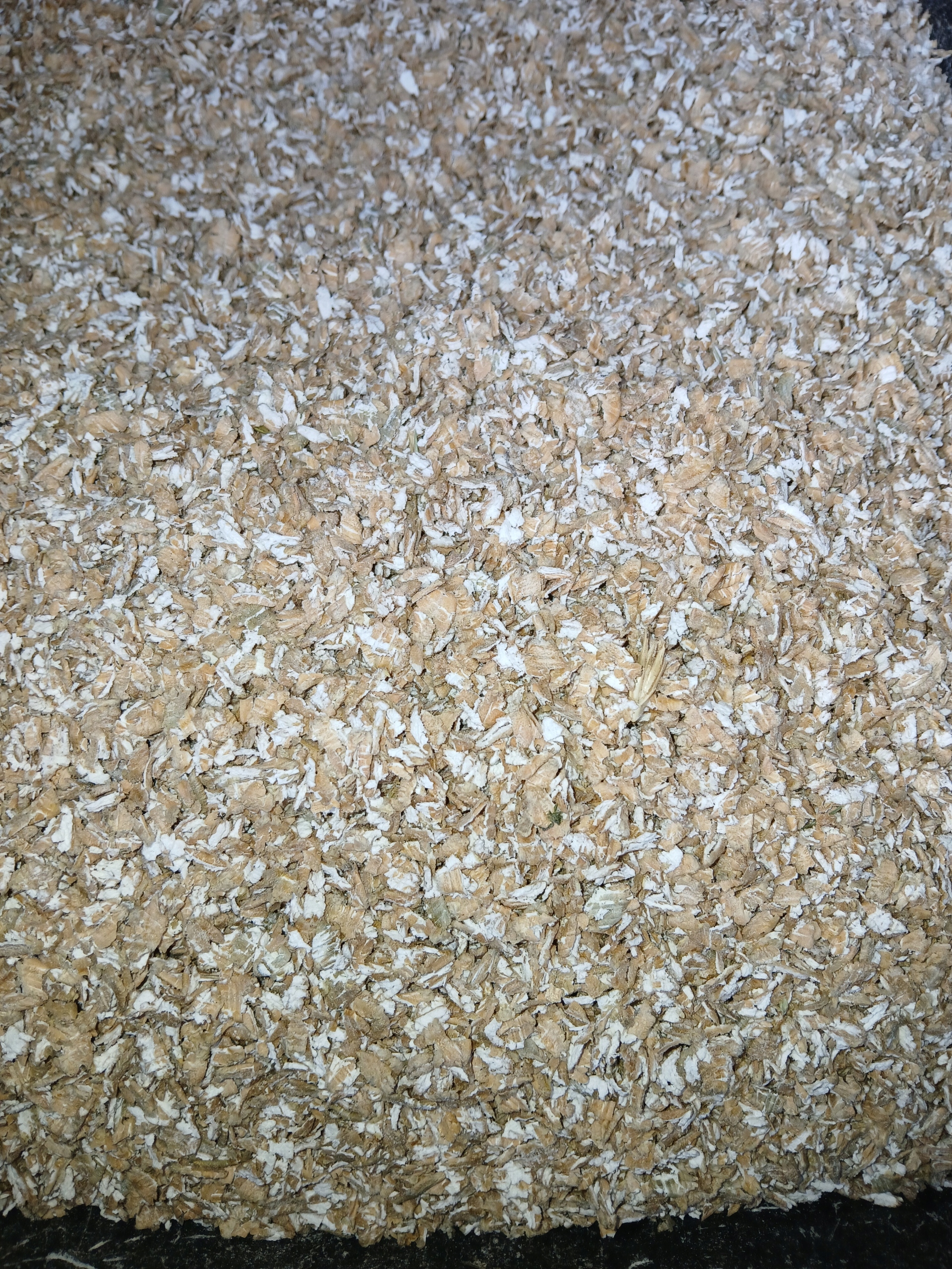 Karma Pasza Naturalna Gnieciona Ziarno dla kur niosek, kaczek gęsi 10kg Rodzaj karma