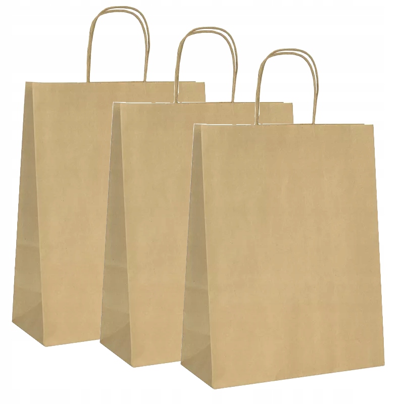 

Torba Papierowa 31x17x34 3 szt. szara 100g/m2