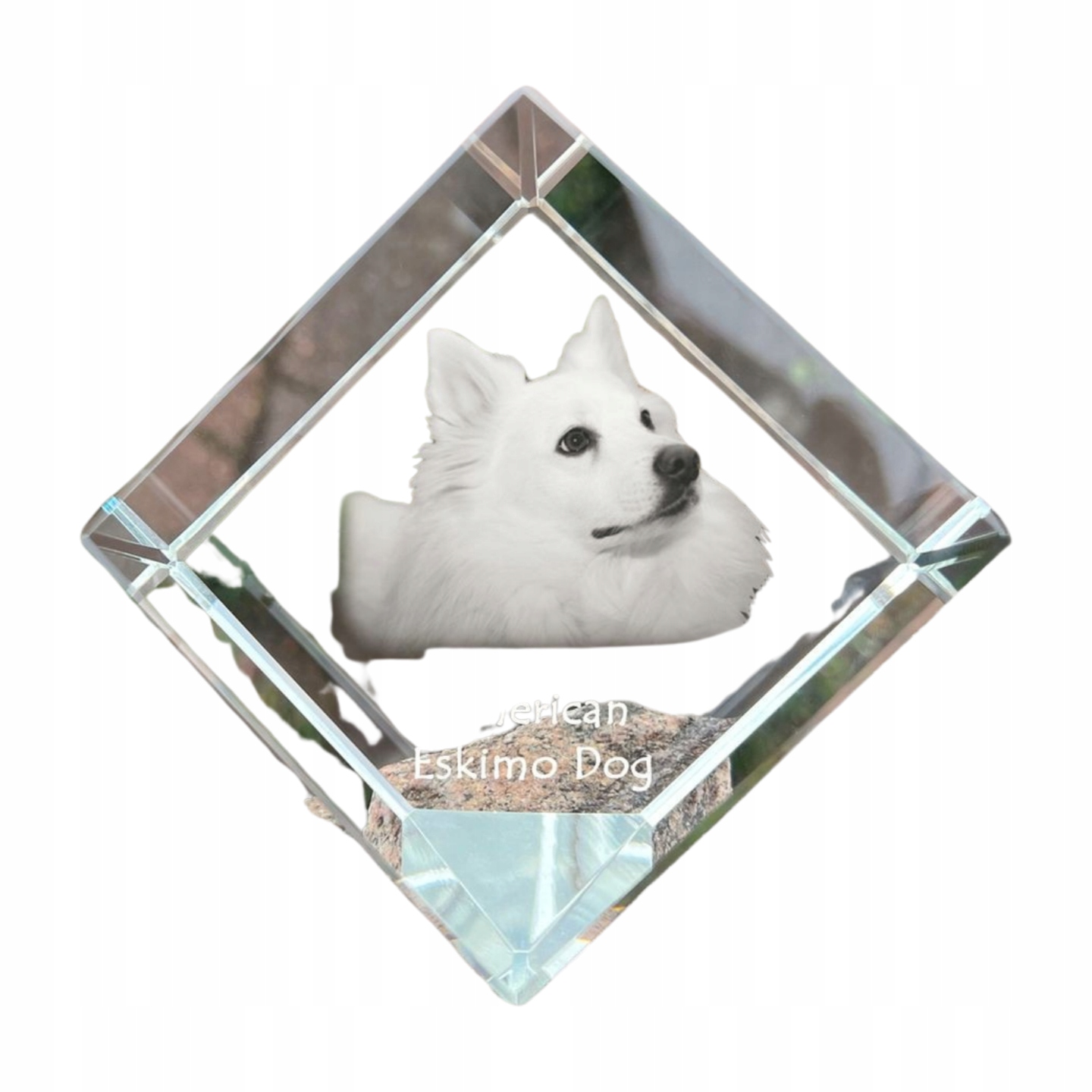American Eskimo Dog krištáľová kocka s fotografiou psa, ozdoba na stôl