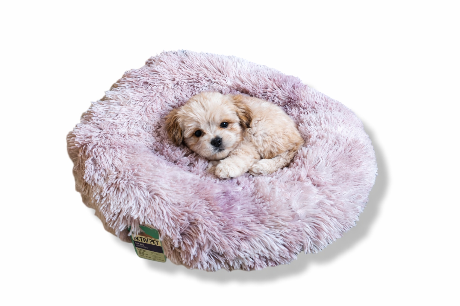 Levně Pelíšek pro psa/kočku růžové Activ Pet 60x60