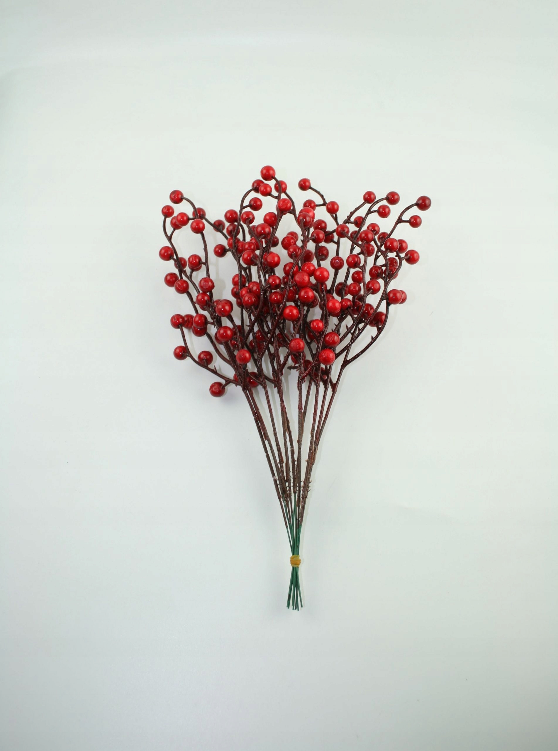 

Kwiat Gałązka Jarzębina Czerwone Kulki