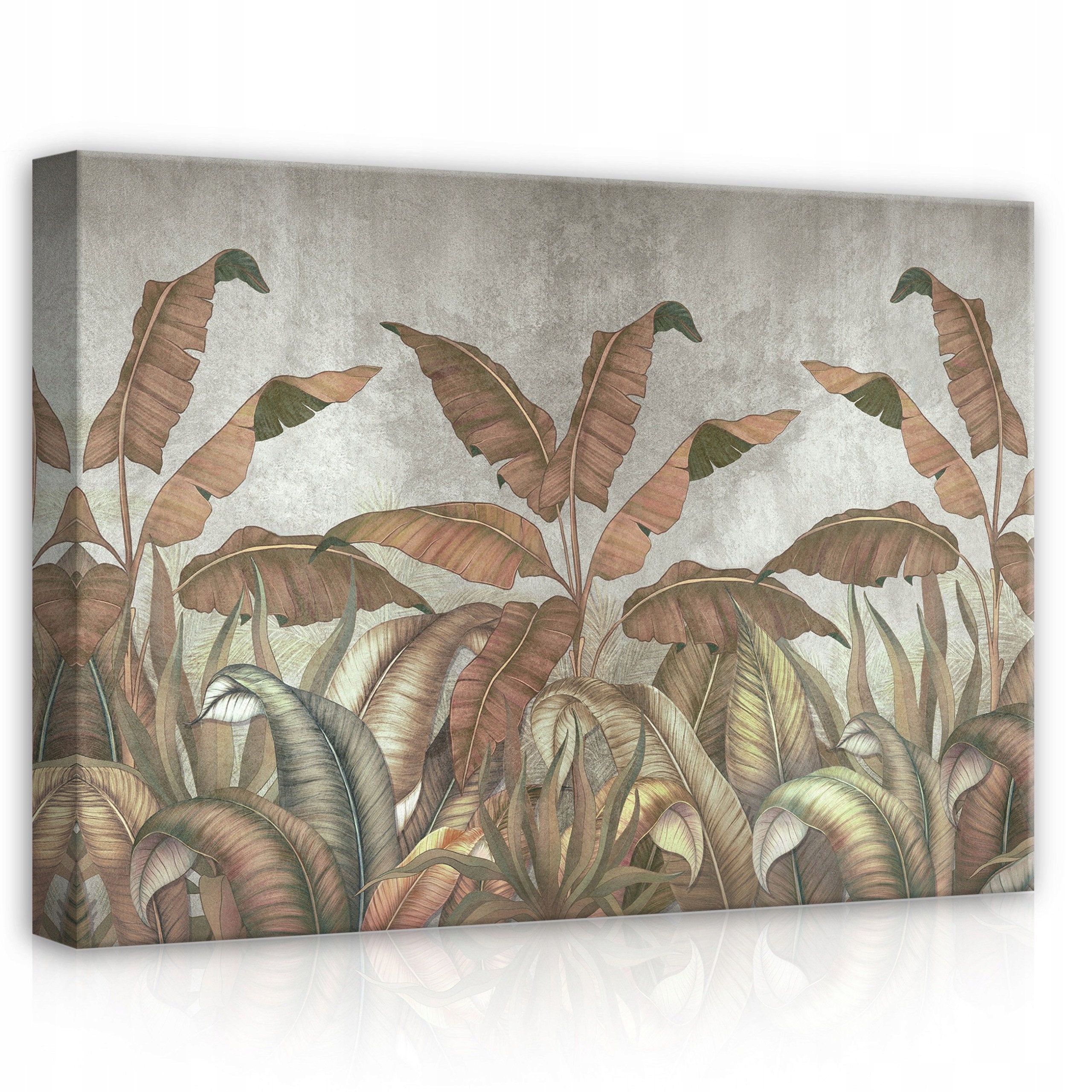 Obraz 70x50 Tropické listy banánové listy zeleň příroda klid harmonie