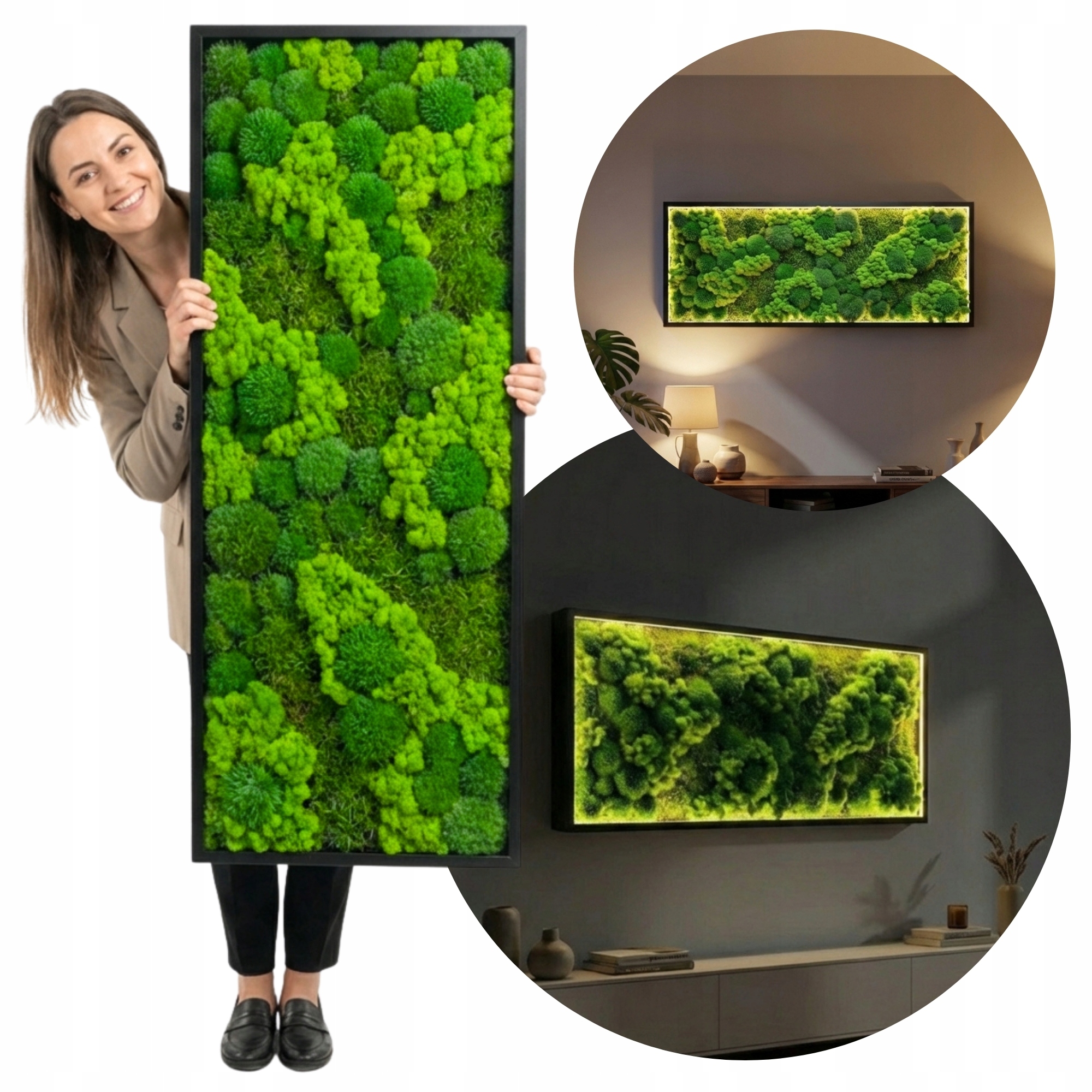 Obraz z mechu Led chrobotek plochý polštář Černý Rám nástěnná dekorace