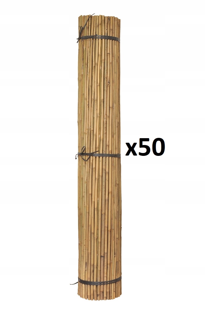 

Tyczka bambusowa 40 cm x 6/8 mm 50SZT.