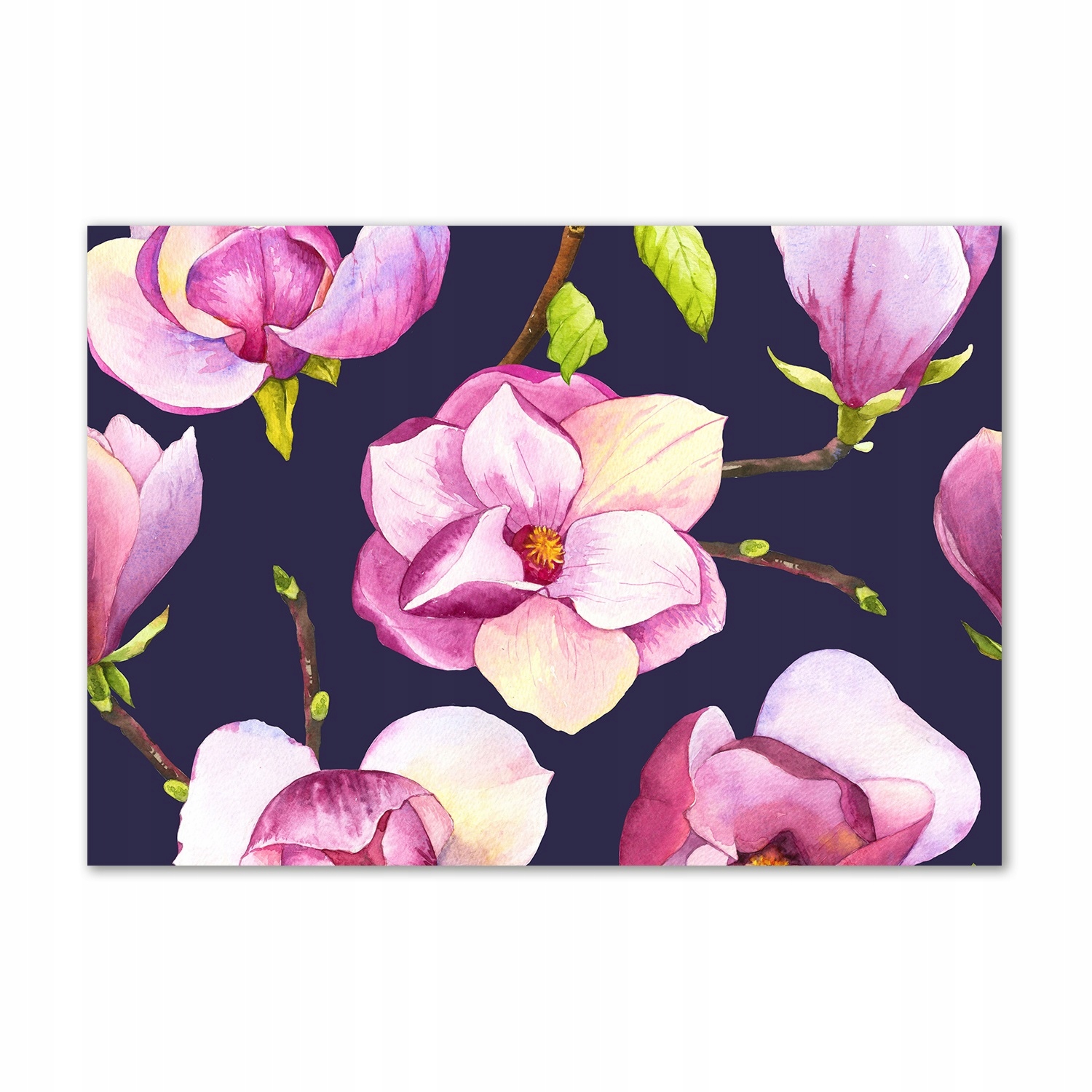 

Obraz zdjęcie na ścianę akryl Magnolia 100x70 cm