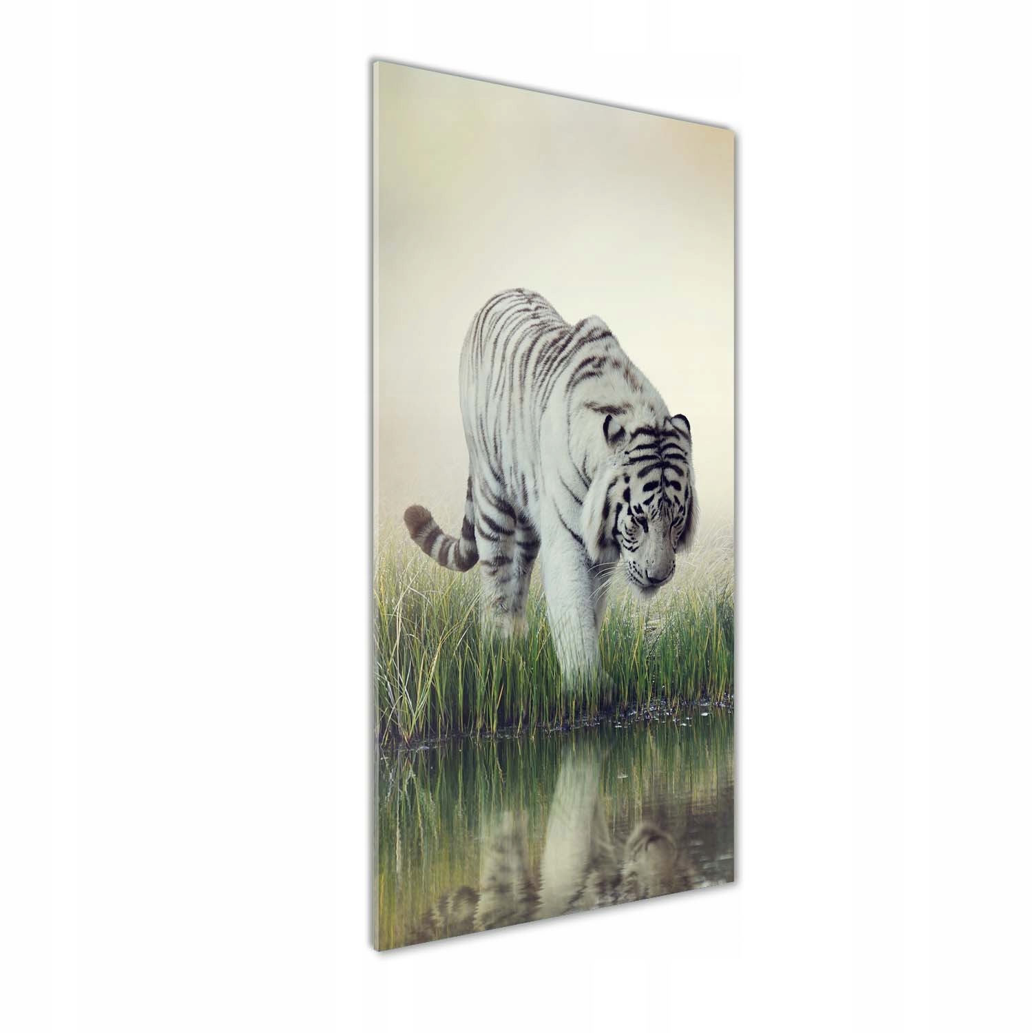 

Foto obraz szkło hartowane Biały tygrys 50x125 cm