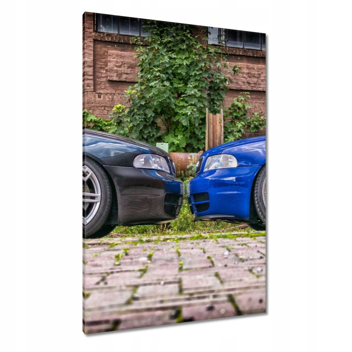Obrazy 80x120 Audi
