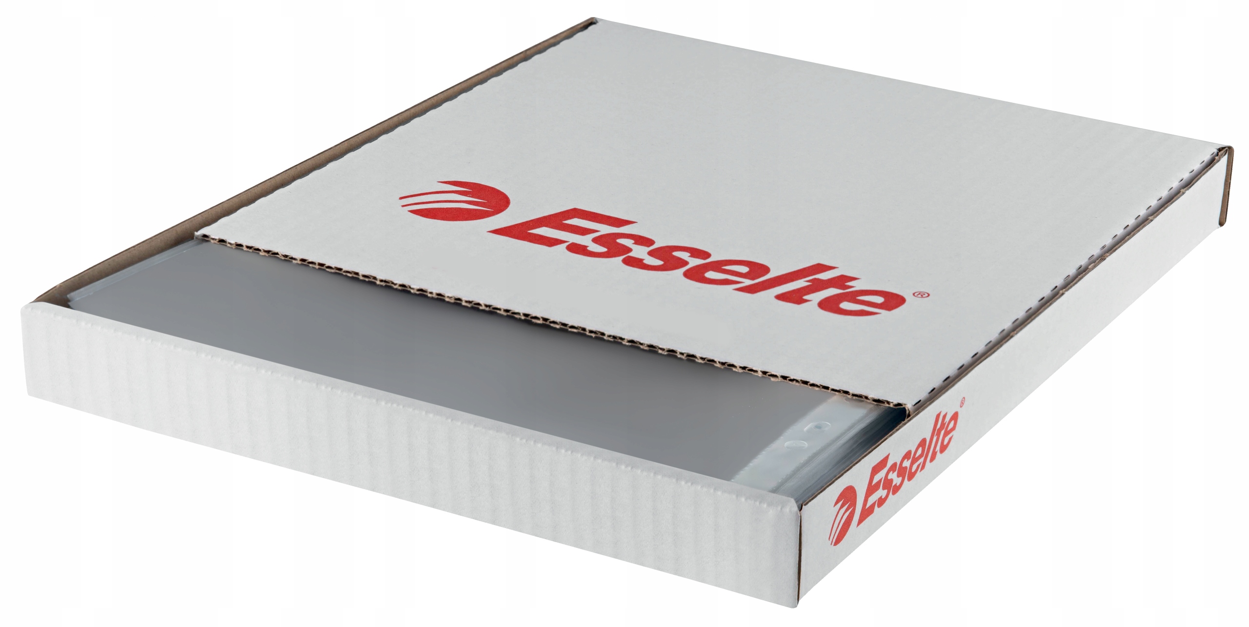 

Koszulki krystaliczne Esselte A4 55 mic 56066