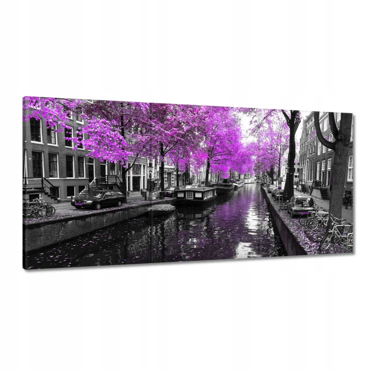 Obrazy 180x90 Holandská krajina Rieka v Amsterdame